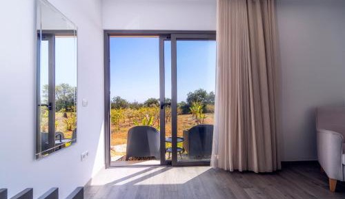 Deluxe Double Room with Terrace