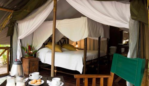 Superior Tent with Private Bathroom (2 Adults)