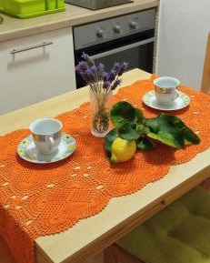 Studio with Terrace