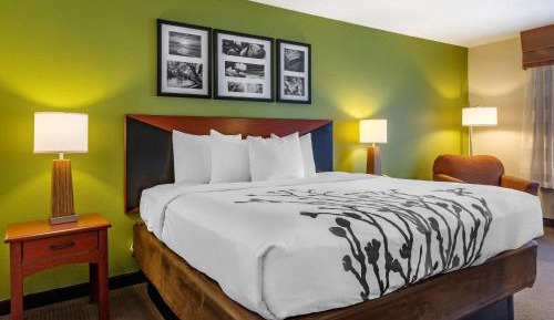 King Room with Roll-In Shower - Accessible/Non-Smoking
