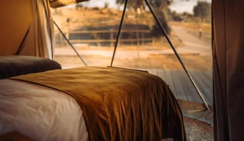 Tent