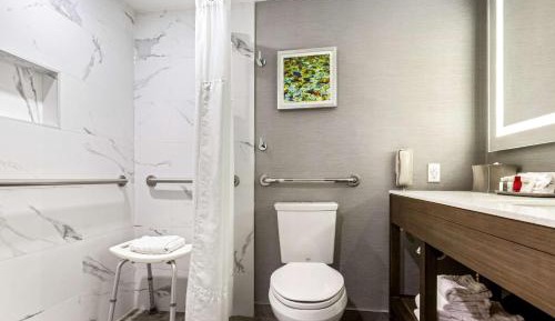 King Room with Mobility Accessible Roll-In Shower