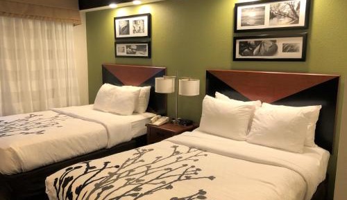 Double Room - Non-Smoking 