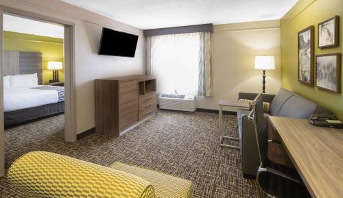 One-Bedroom Suite with One King Bed - Non-Smoking