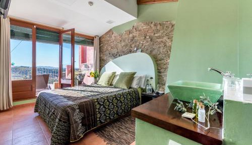 Double Room with Terrace and Vineyard and Park Natural view