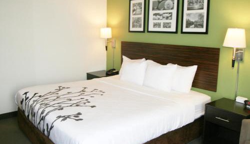 King Suite - Accessible/Non-Smoking