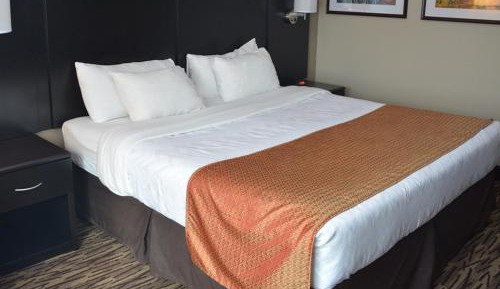 Deluxe King Suite