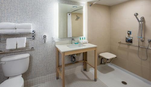 King Room with Roll-In Shower - Disability Access