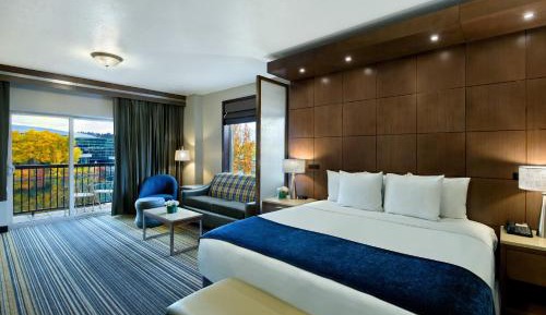 Riverview Balcony Executive King Suite Sleeper Sofa