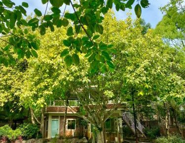 Villa with Garden View