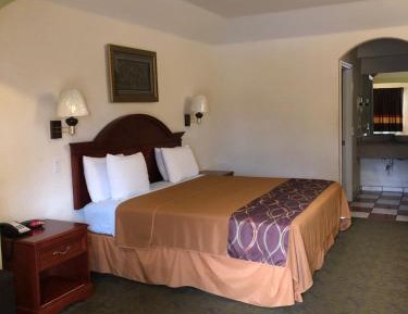 Deluxe King Suite