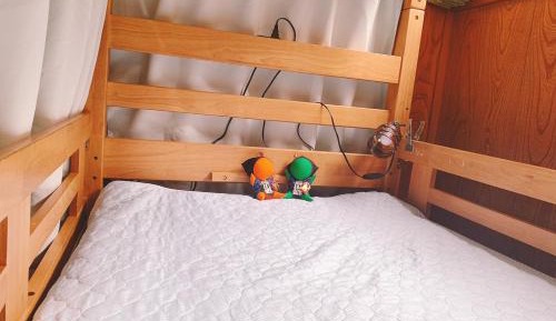 Single Bed in Female Dormitory Room