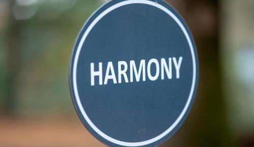 Glamping Tent - Harmony