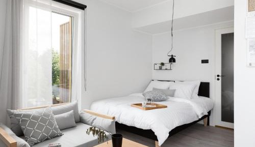 Spacious Studio Home