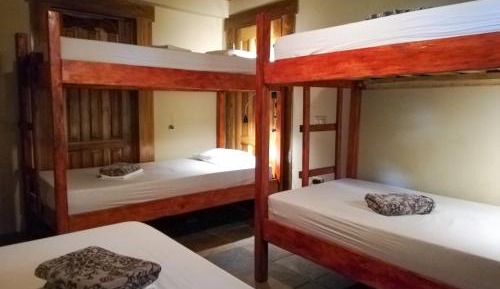 Bunk Bed in Mixed Dormitory Room