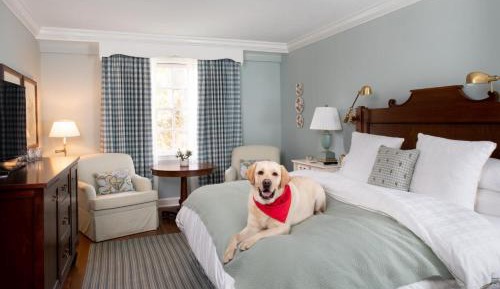King Room with Garden View