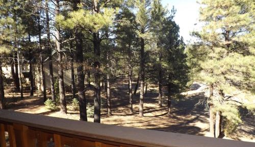 Cabin 16