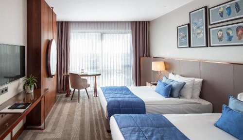 Superior Double or Twin Room