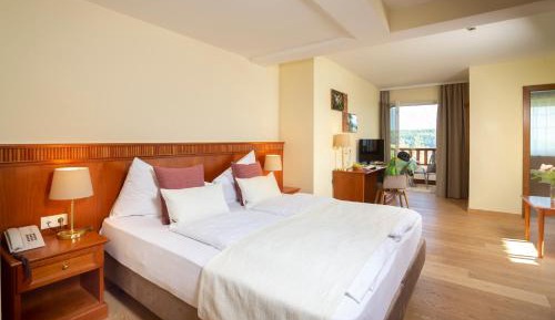 Double Room Gentian