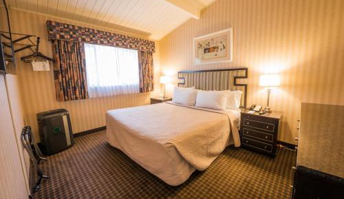King Bed Suite
