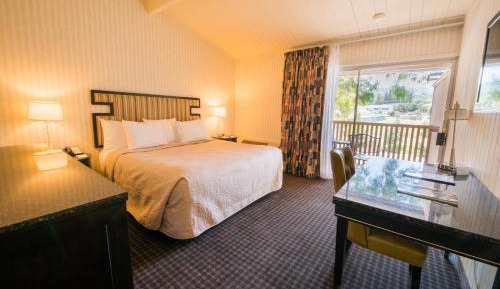 King Room with Garden View