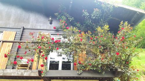 Double Room with Balcony and Shared Bathroom