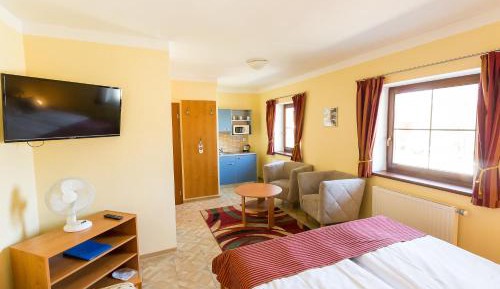 Studio (2-3 Adults)