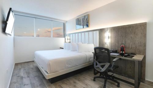 King Room