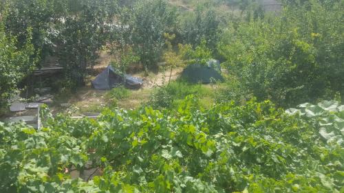 Tent