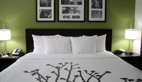 King Room - Disability Access/Non-Smoking