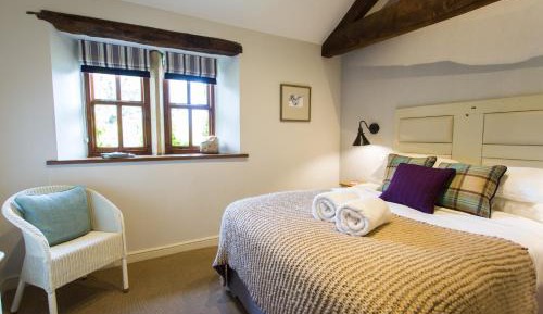 Cozy Double Room