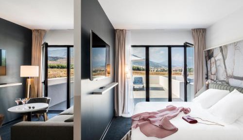 Junior Suite with Terrace