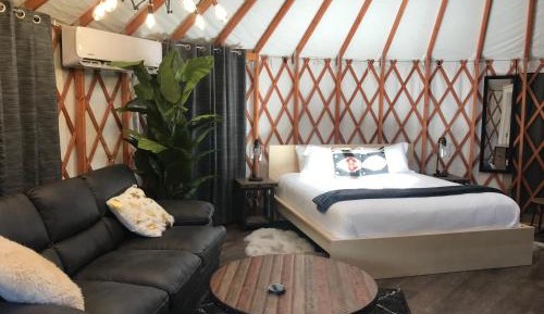 Birch yurt