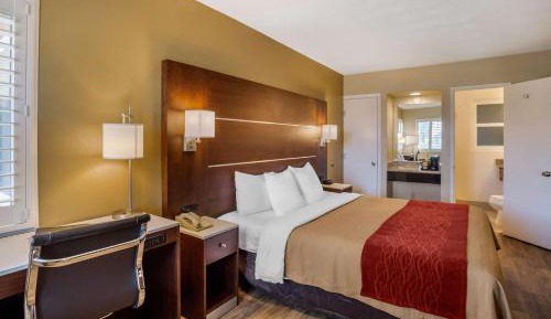 Standard Room, 1 King Bed, Non Smoking