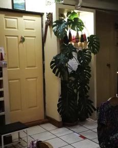 Budget Single Room