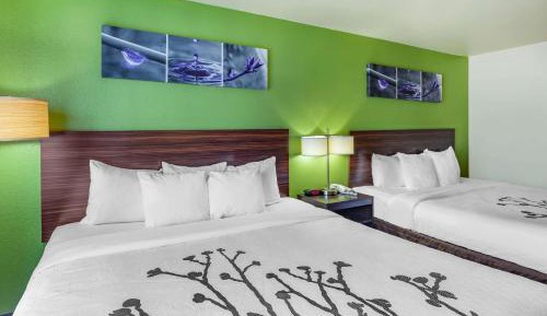 Standard Room with Two King Beds