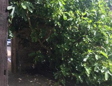 Triple Room with Garden View