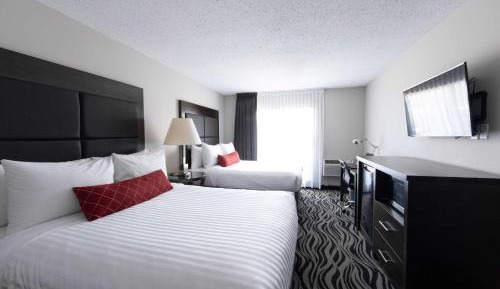 Queen Room with Two Queen Beds