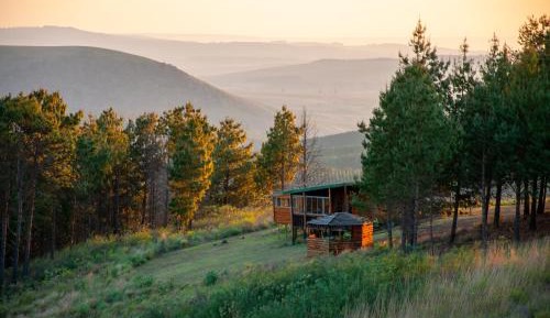 Cabin with Kitchenette and Views