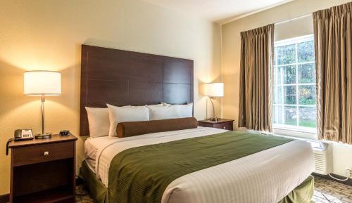 Deluxe King Suite
