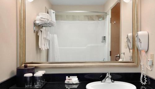 King Suite with Jacuzzi 