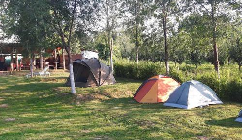 Tent