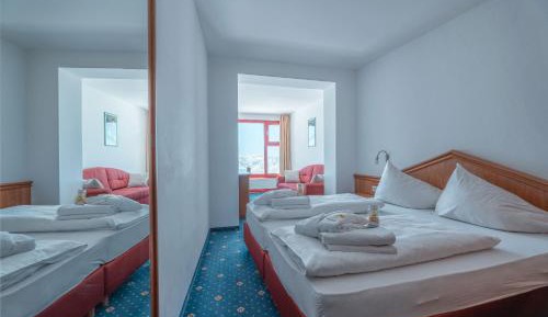Double or Twin Room with Mountain View