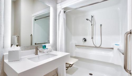 King Room - Disability Access Roll in Shower