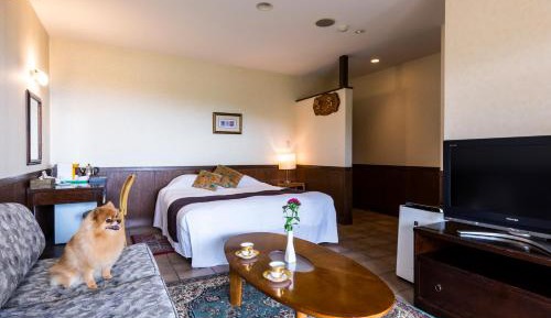 Double Room with Terrace