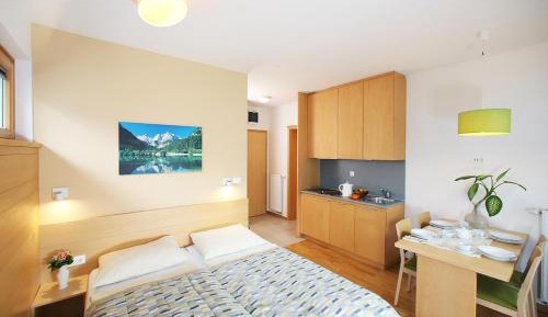 Studio with Balcony or Terrace