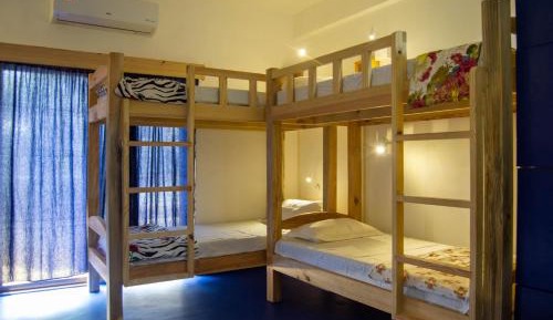 Bed in 8-Bed Mixed Dormitory Room
