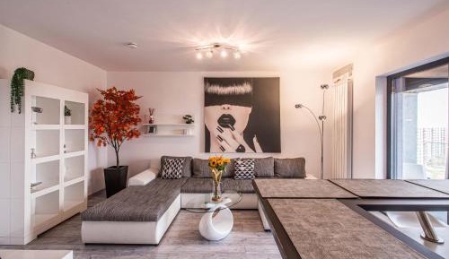 Penthouse Apartment