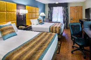 Queen Room with Two Queen Beds and Roll-In Shower - Mobility Accessible/Communication Assistance/Non-Smoking