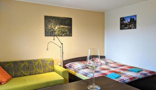 Studio with Private Bathroom and Garden View
